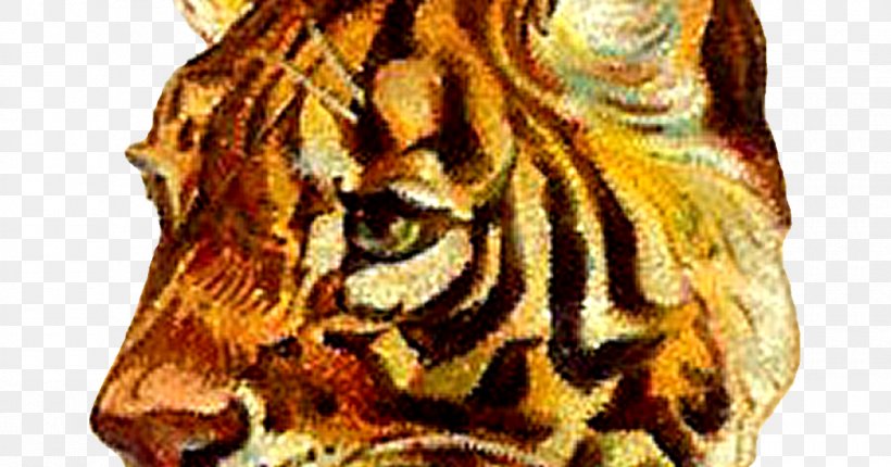 Tiger Roar Clip Art, PNG, 1200x630px, Tiger, Big Cat, Big Cats, Carnivoran, Cat Download Free