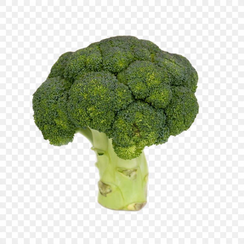 Broccoli Vegetable Food, PNG, 1000x1000px, Broccoli, Broccoflower, Flowerpot, Food, Grass Download Free