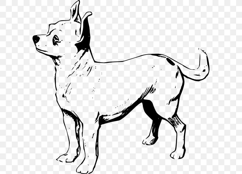 Chihuahua Puppy Drawing Clip Art, PNG, 600x590px, Chihuahua, Artwork, Black And White, Carnivoran, Dog Download Free