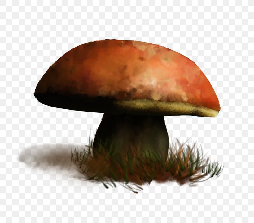 Edible Mushroom Fungus GIF Medicinal Fungi, PNG, 800x718px, Edible Mushroom, Animaatio, Avatar, Drawing, Fungus Download Free