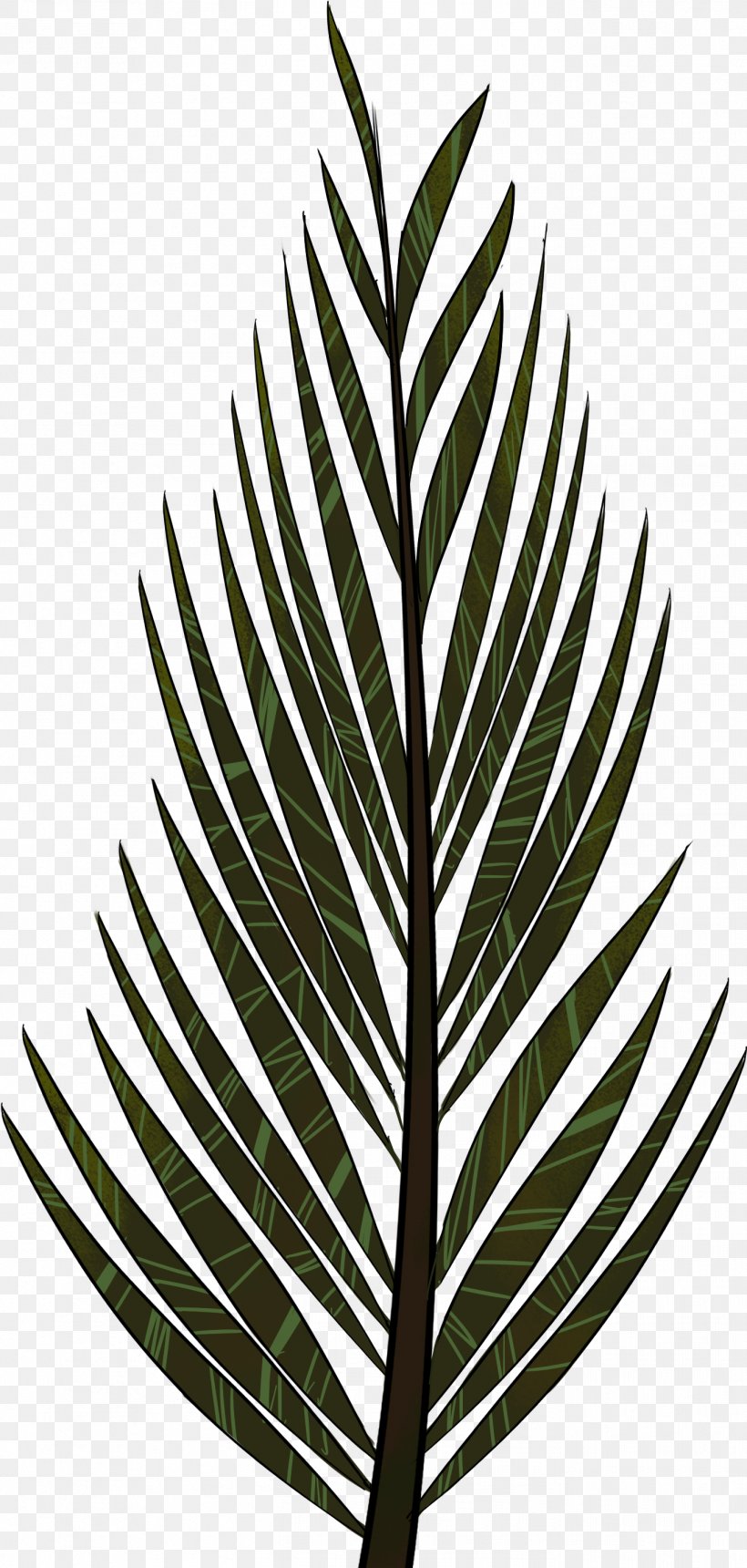 Leaf Plant Tree Line Flower, PNG, 1372x2879px, Leaf, Arecales, Flower, Grass, Plant Download Free