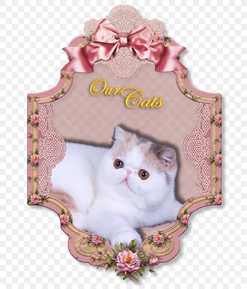 Exotic Shorthair Picture Frames Paper Decoupage Photography, PNG, 754x959px, Exotic Shorthair, Cat, Cat Like Mammal, Decoupage, Domestic Short Haired Cat Download Free