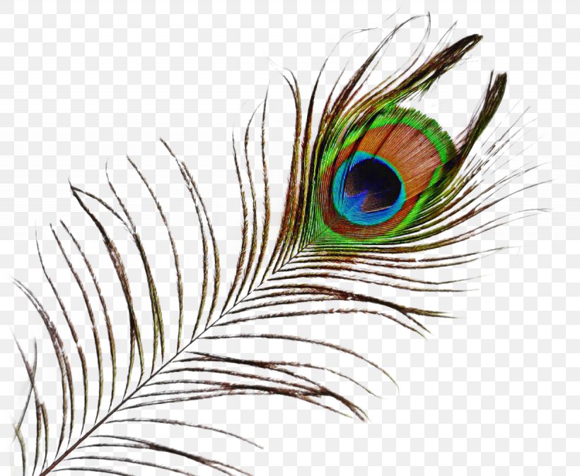 Eye Cartoon, PNG, 1230x1012px, Peafowl, Animal Product, Bird, Eye, Eyelash Download Free