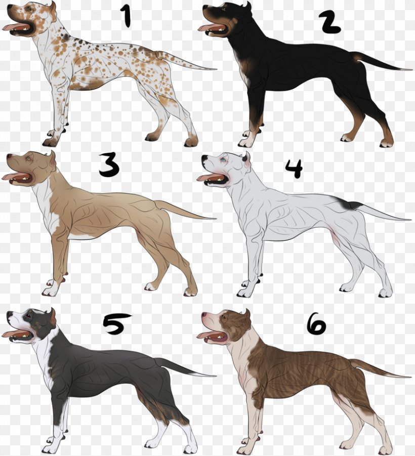 Lurcher Italian Greyhound Whippet Spanish Greyhound, PNG, 852x937px, Lurcher, American Staghound, Ancient Dog Breeds, Breed, Carnivoran Download Free