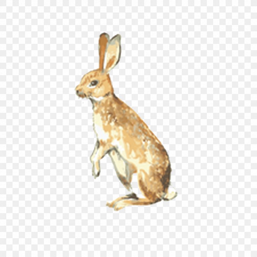 Bugs Bunny Rabbit Poster Cartoon, PNG, 1800x1800px, Bugs Bunny, Animal, Cartoon, Domestic Rabbit, Fauna Download Free