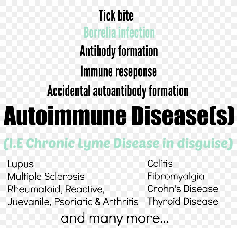 Chronic Lyme Disease Autoimmune Disease Autoimmunity, PNG, 1600x1541px, Lyme Disease, Area, Autoimmune Disease, Autoimmunity, Brand Download Free