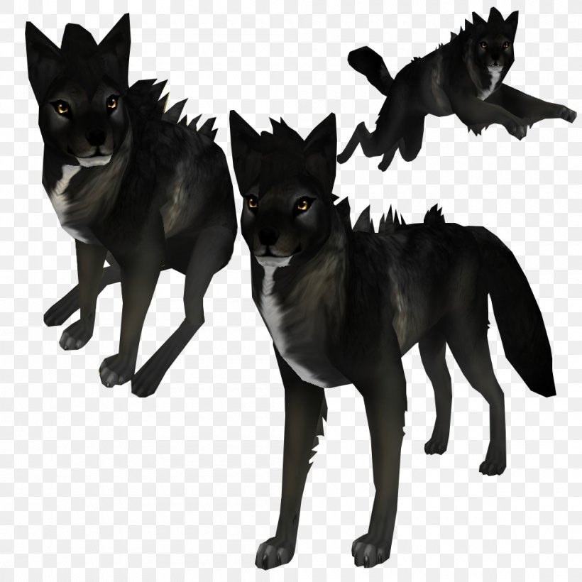 Dog Feral Animal Canidae Black Wolf Pet, PNG, 1000x1000px, Dog, Alpha, Animal, Art, Black Wolf Download Free