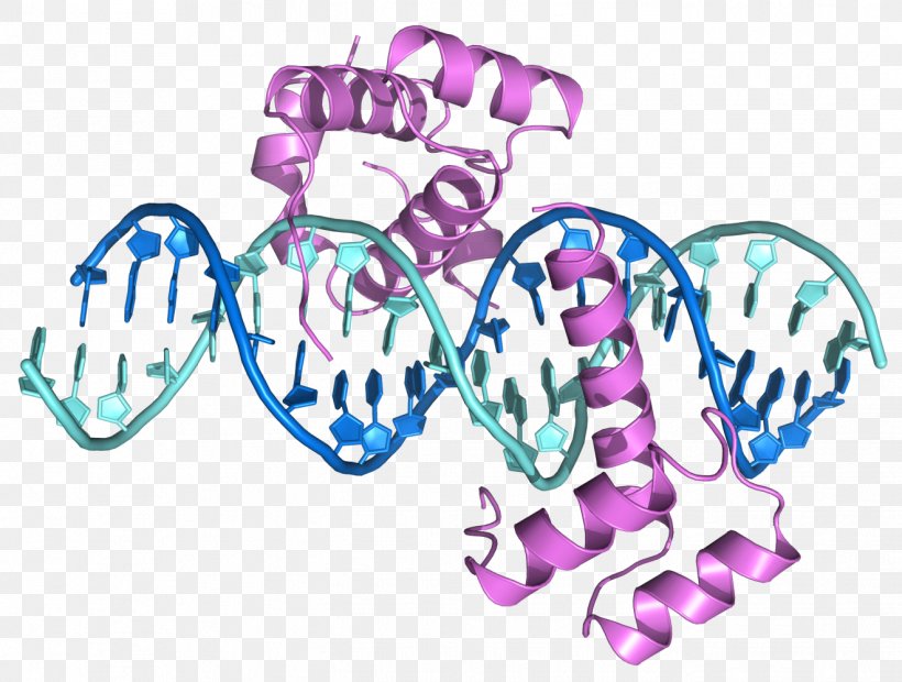 ENCODE DNA Bioinformatics Mutation Chromosomal Inversion, PNG, 1321x1000px, Watercolor, Cartoon, Flower, Frame, Heart Download Free