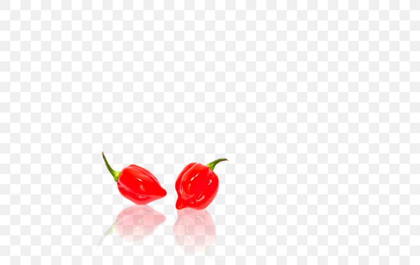 Habanero Bird's Eye Chili Cayenne Pepper Tabasco Pepper Chili Pepper, PNG, 700x518px, Habanero, Acerola, Acerola Family, Barbados Cherry, Bell Peppers And Chili Peppers Download Free