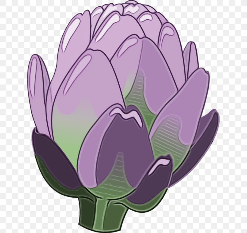 Tulip Purple Petal, PNG, 639x772px, Watercolor, Aquatic Plant, Artichoke, Crocus, Flower Download Free