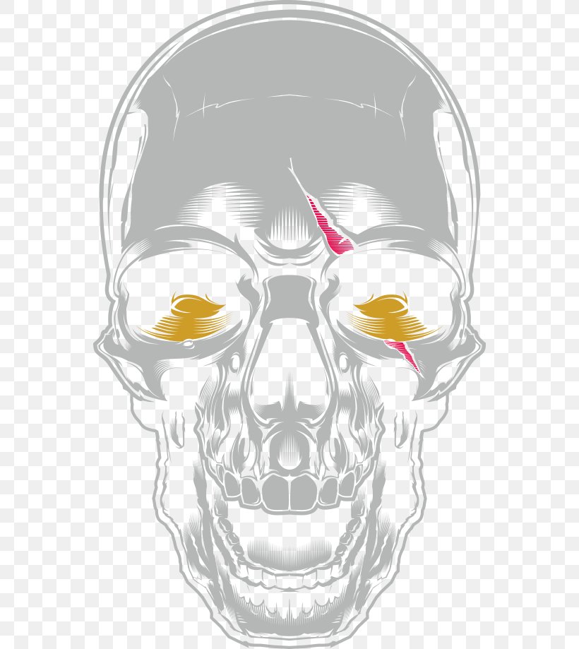 Visual Arts Skull Illustration, PNG, 556x919px, Visual Arts, Art, Bone, Bone Marrow, Cartoon Download Free