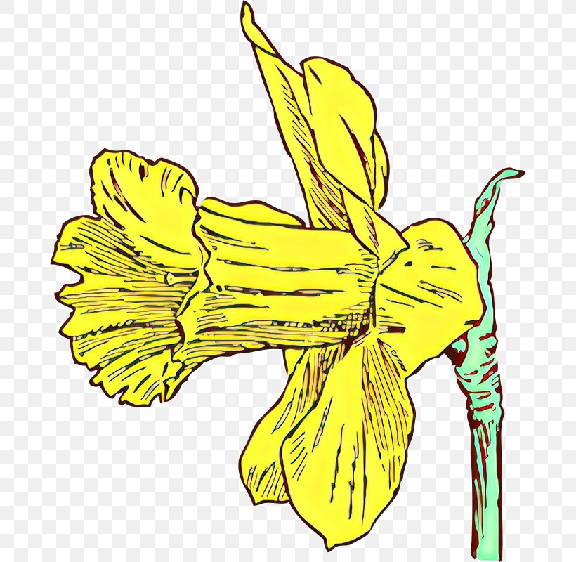 Yellow Flower Plant Narcissus Daylily, PNG, 800x800px, Yellow, Daylily, Flower, Narcissus, Pedicel Download Free