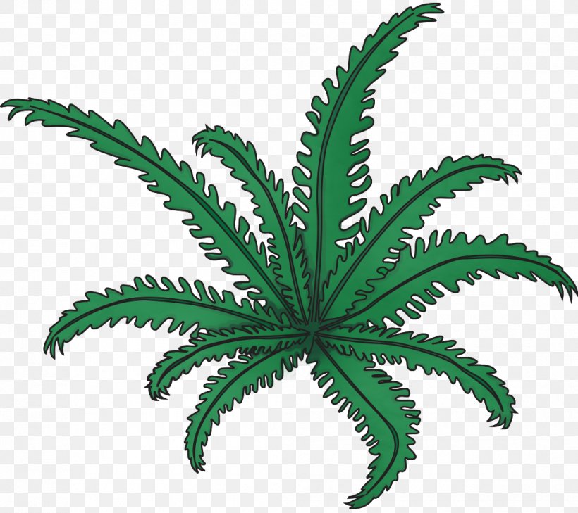 Cannabaceae Vascular Plant Leaf Flowerpot, PNG, 1056x939px, Cannabaceae, Family, Flowerpot, Hemp, Hemp Family Download Free