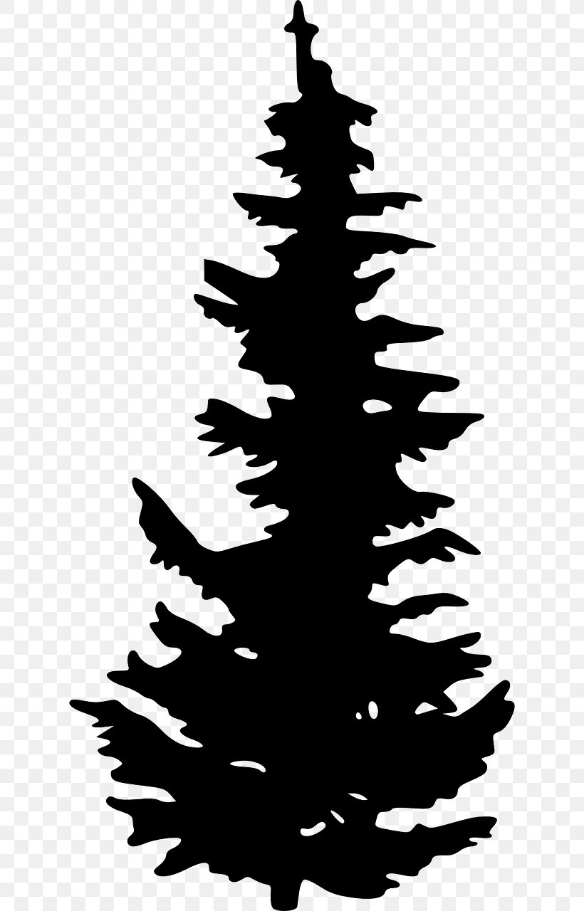 Evergreen Silhouette Tree Pine Clip Art, PNG, 640x1280px, Evergreen, Art, Black And White, Branch, Christmas Decoration Download Free