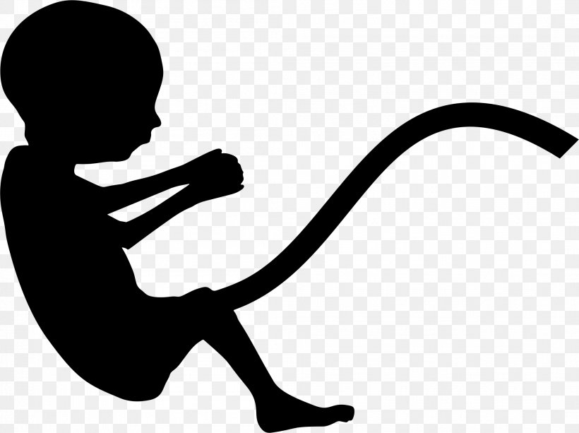 Fetus Pregnancy Infant Silhouette, PNG, 2108x1576px, Fetus, Artwork, Black And White, Child, Communication Download Free