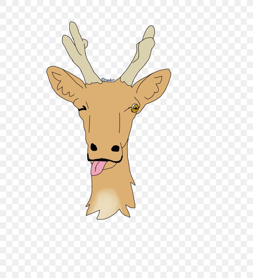 Reindeer Antler Wildlife Clip Art, PNG, 599x900px, Reindeer, Antler, Deer, Horn, Mammal Download Free