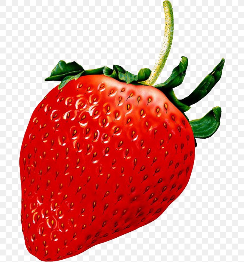 Strawberry Aedmaasikas Fruit Clip Art, PNG, 692x882px, Strawberry, Accessory Fruit, Aedmaasikas, Baking, Budi Daya Download Free