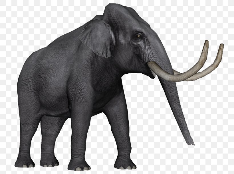 African Elephant Asian Elephant Zoo Tycoon 2 Elephantidae Elephas Hysudrindicus, PNG, 780x612px, African Elephant, Animal, Asian Elephant, Desert Elephant, Dwarf Elephant Download Free