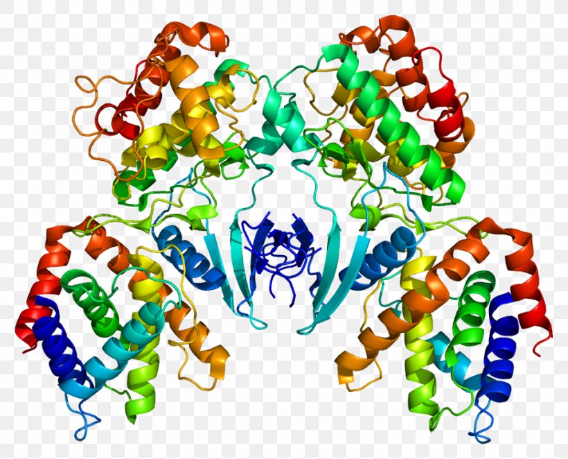 CDK5R1 Cyclin-dependent Kinase 5 Gene, PNG, 964x779px, Cyclindependent Kinase, Art, Body Jewelry, Cyclin, Enzyme Download Free