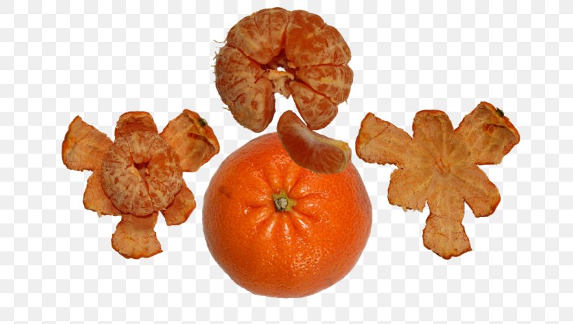 Clementine Tangerine Mandarin Orange Tangelo Bitter Orange, PNG, 696x464px, Clementine, Bitter Orange, Calabaza, Citrus, Cucurbita Download Free