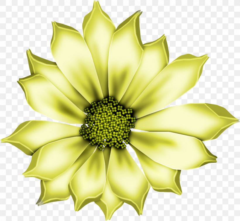 Decorative Borders, PNG, 866x800px, Decorative Borders, Chrysanths, Cut Flowers, Daisy Family, Dia Download Free