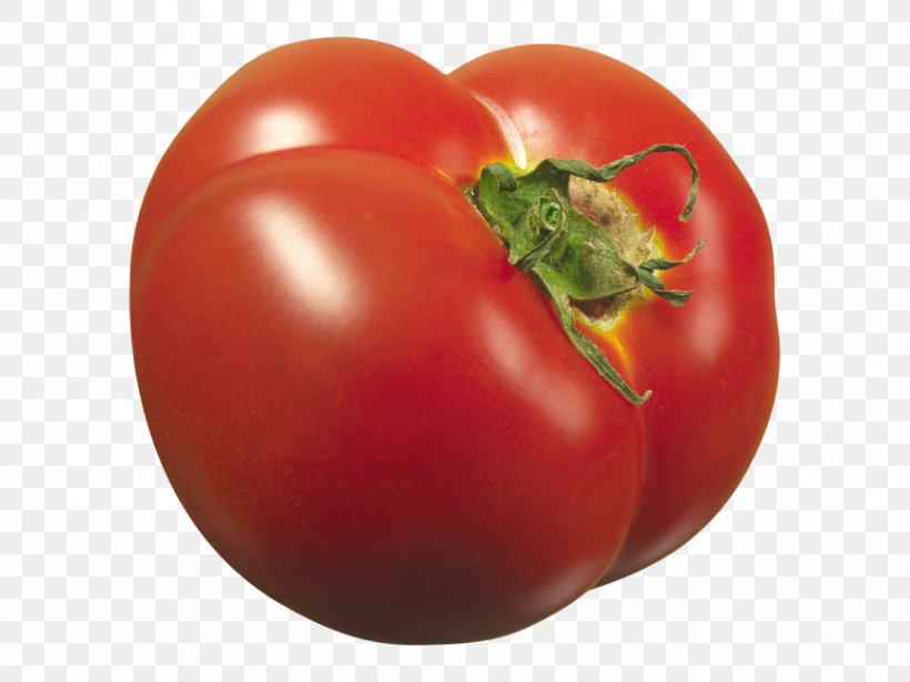 Plum Tomato Bush Tomato Fruit Food, PNG, 866x650px, Plum Tomato, Aubergines, Bush Tomato, Common Plum, Diet Food Download Free