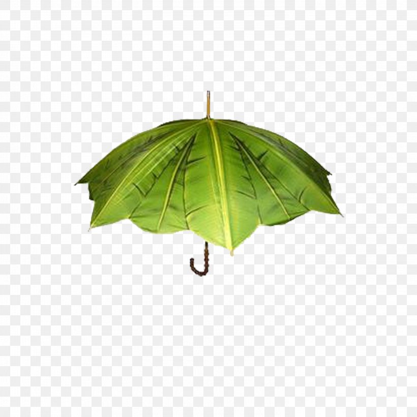 Umbrella Creativity Designer, PNG, 2953x2953px, Umbrella, Art, Banana Leaf, Creativity, Designer Download Free