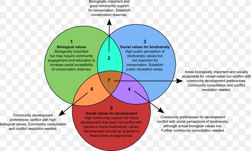 Value Biodiversity Conservation Natural Environment Ethics, PNG, 1240x748px, Value, Area, Biodiversity, Biological Value, Brand Download Free