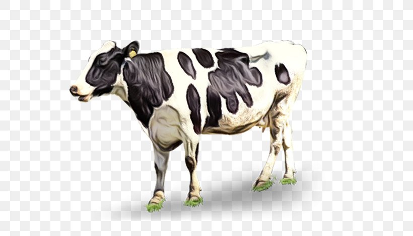 Watercolor Animal, PNG, 783x470px, Watercolor, Animal Figure, Automatic Milking, Bovine, Calf Download Free