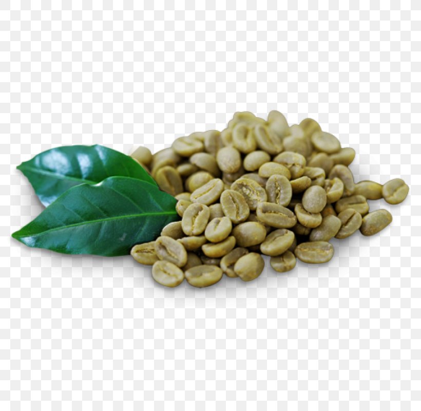 green coffee bean png