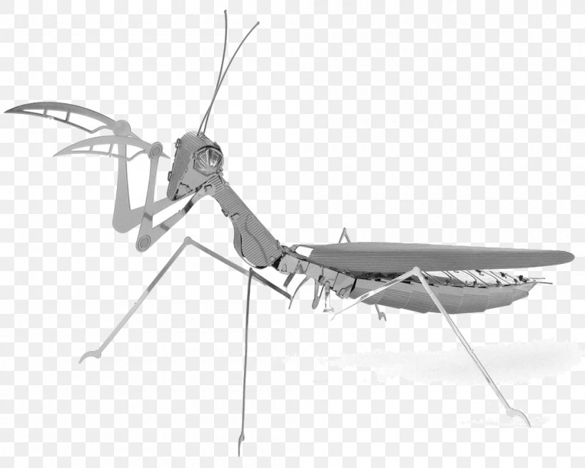 Insect Mantis Metal Earth Steel, PNG, 1000x800px, Insect, Aluminium, Animal, Arthropod, Black And White Download Free