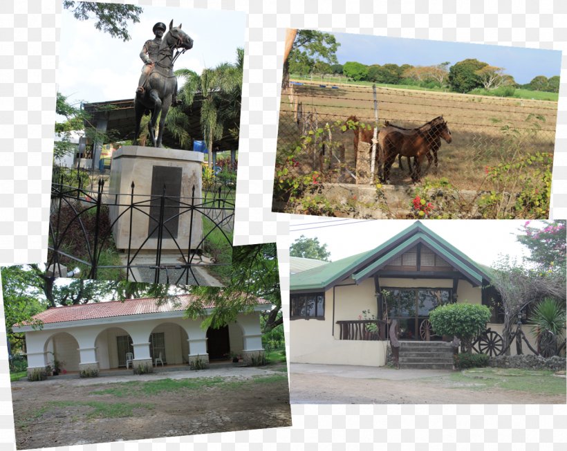 Landscape Property Tourism, PNG, 1261x1003px, Landscape, Hacienda, Home, House, Outdoor Structure Download Free