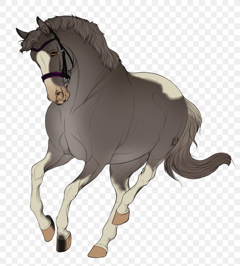 Mane Mustang Stallion Foal Colt, PNG, 1024x1134px, Mane, Bridle, Colt, Donkey, Fictional Character Download Free