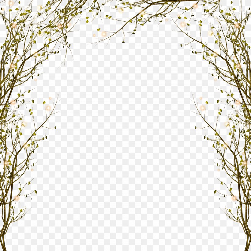 Tree Branch Clip Art, PNG, 3600x3600px, Picture Frames, Area, Decorative Arts, Drop Shadow, Grass Download Free