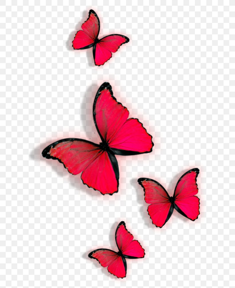 Butterfly Red Clip Art, PNG, 658x1006px, Butterfly, Brush Footed Butterfly, Color, Designer, Flower Download Free
