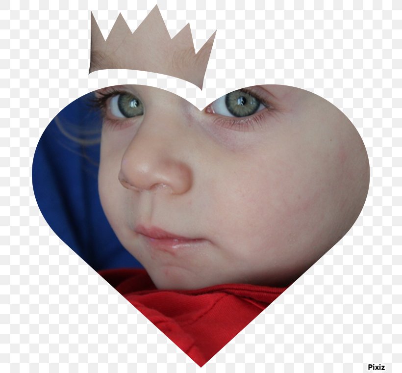 Nose Cheek Chin Forehead Lip, PNG, 760x760px, Nose, Cheek, Child, Chin, Ear Download Free