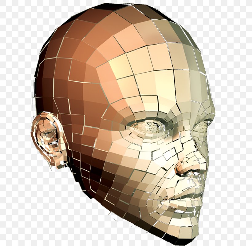 Technology Science Face Perception, PNG, 800x800px, Technology, Bone, Business, Face, Face Perception Download Free