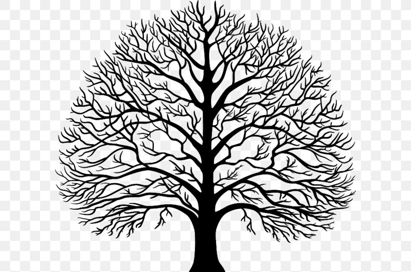 Tree Stencil, PNG, 600x542px, Tree, Autocad Dxf, Black And White, Branch, Flower Download Free