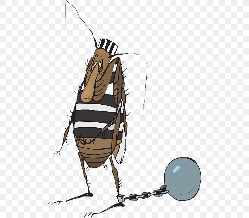 Ant Prisoner Insect Cockroach, PNG, 506x720px, Ant, Arthropod, Blattodea, Cartoon, Cockroach Download Free
