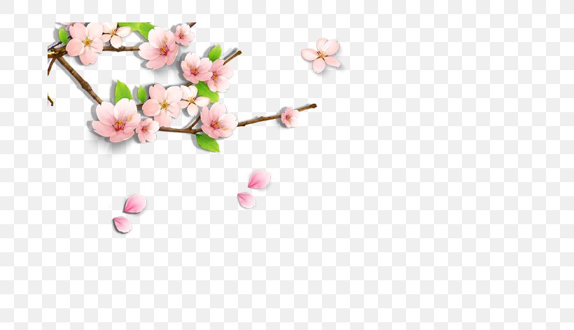 Cherry Blossom Clip Art, PNG, 683x471px, Cherry Blossom, Blossom, Blue, Branch, Color Download Free