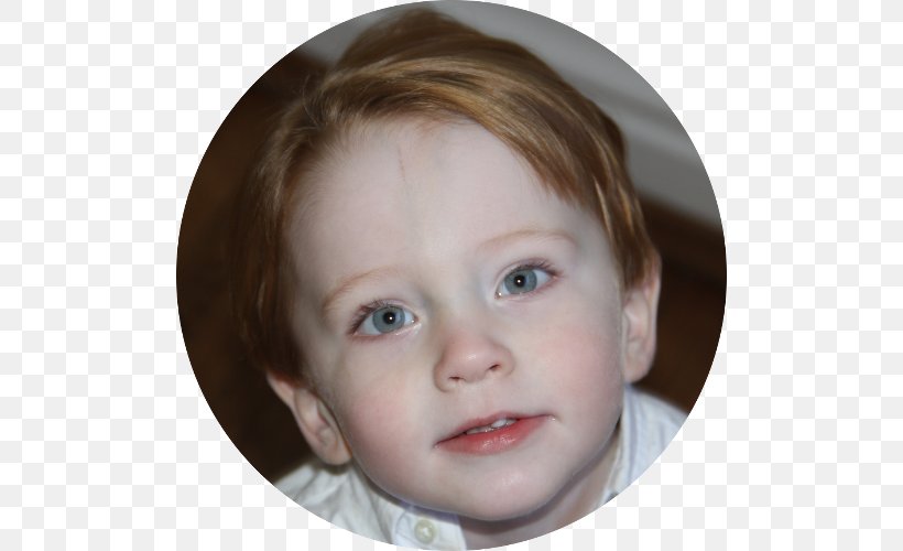 Cheek Nose Chin Jaw Mouth, PNG, 500x500px, Cheek, Brown Hair, Child, Child Model, Chin Download Free