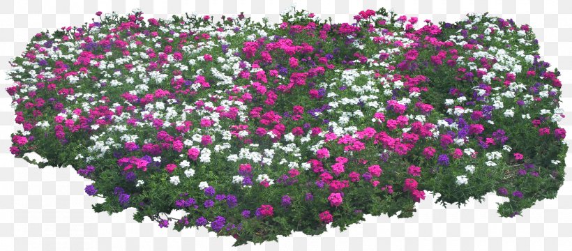 Flower Garden Shrub, PNG, 1600x703px, 2d Computer Graphics, Flower, Annual Plant, Chrysanths, Computer Graphics Download Free