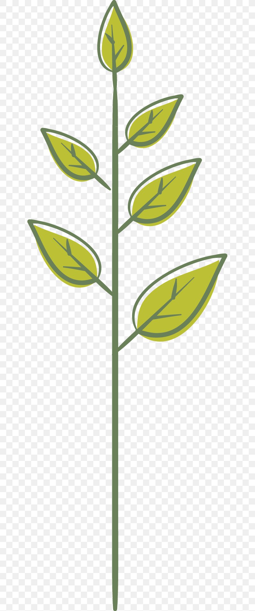 Leaf Green Plant Stem, PNG, 643x1962px, Leaf, Green, Plant, Plant Stem, Yellow Download Free