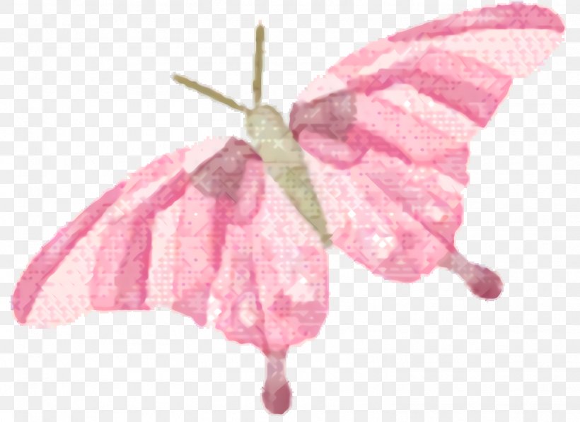 Pink Flower Cartoon, PNG, 1516x1104px, Silkworm, Anthurium, Butterfly, Flower, Insect Download Free