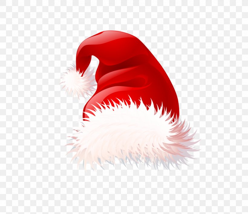Santa Claus Santa Suit Christmas Clip Art, PNG, 854x736px, Santa Claus, Christmas, Christmas Stocking, Close Up, Fictional Character Download Free