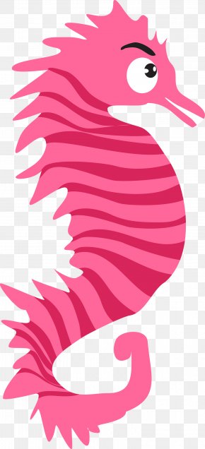 Apparel - Vector Graphics Euclidean Vector Download Image PNG