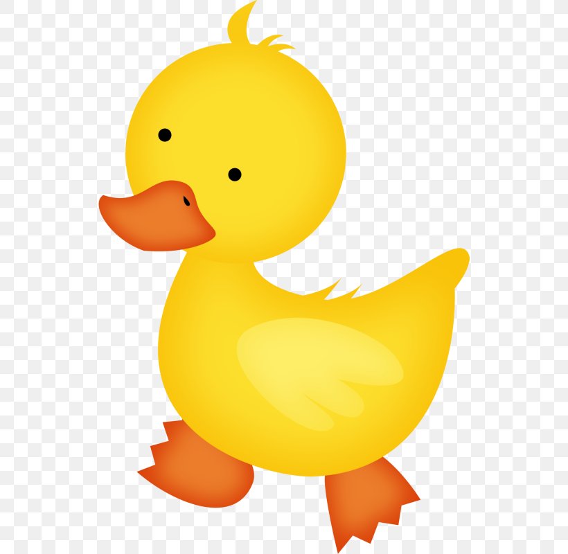 Baby Ducks Baby Duckling Clip Art, PNG, 536x800px, Baby Ducks, Animal, Baby Duckling, Baby Shower, Beak Download Free