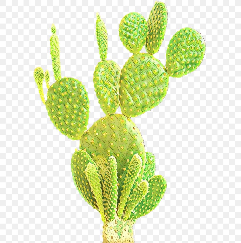 Barbary Fig Cactus Eastern Prickly Pear Image Nopalito, PNG, 595x826px, Barbary Fig, Aquarium Decor, Botany, Cactus, Caryophyllales Download Free