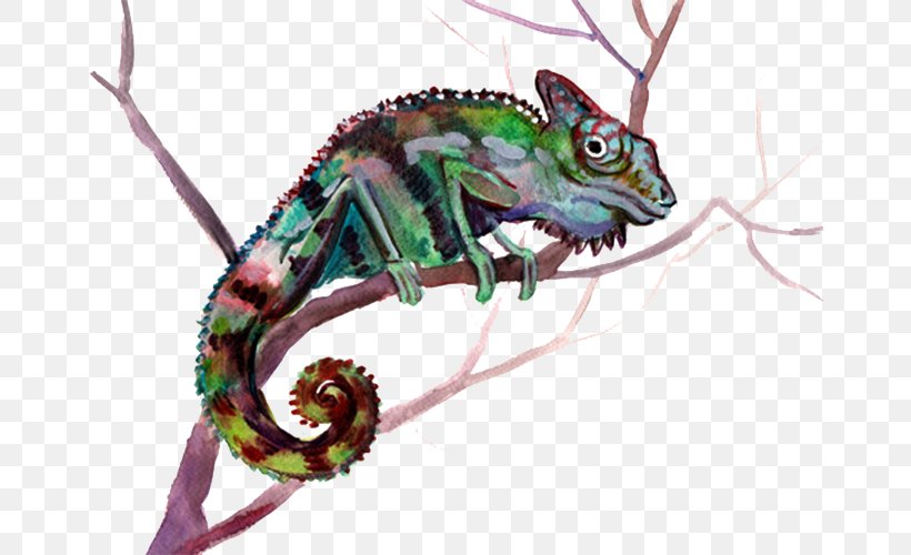 Chameleons Lizard Jacksons Chameleon, PNG, 662x500px, Chameleons, Birdandflower Painting, Chameleon, Fauna, Iguania Download Free