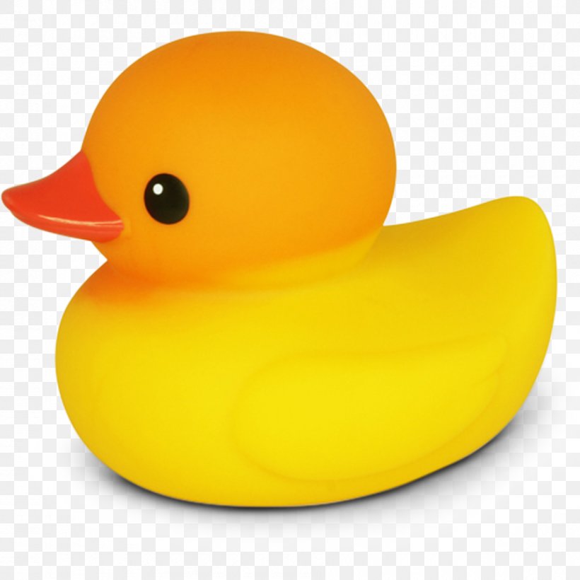 Duck à L'orange Yellow Rubber Duck Duck Meat, PNG, 900x900px, Duck, Bathtub, Beak, Bird, Color Download Free